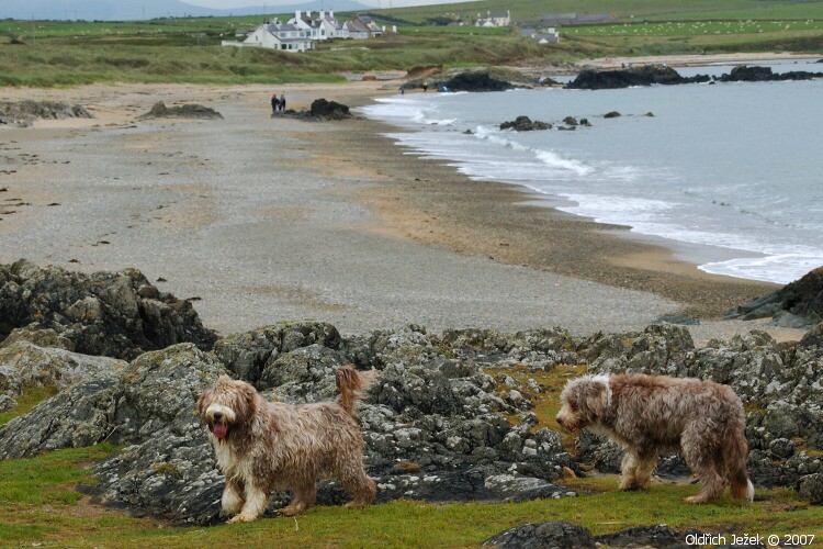 DSC_4425.jpg