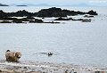 thn_DSC_4394.jpg