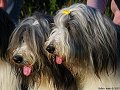 thn_DSC_5356.jpg
