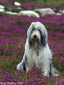 thn_IMG_1531.jpg
