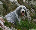 thn_IMG_1566.jpg