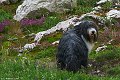 thn_IMG_1627.jpg