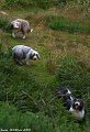 thn_IMG_1632.jpg
